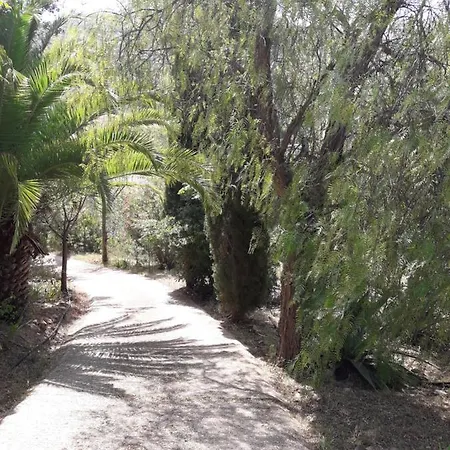 Casa Margarida Bed and breakfast
