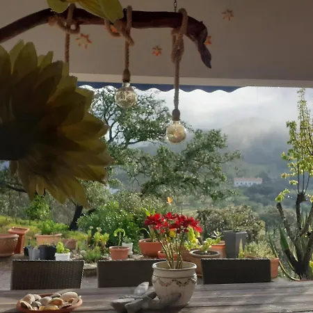Casa Margarida